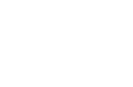 A3